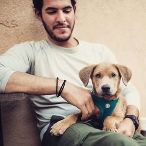 Meet your Posher, Henry